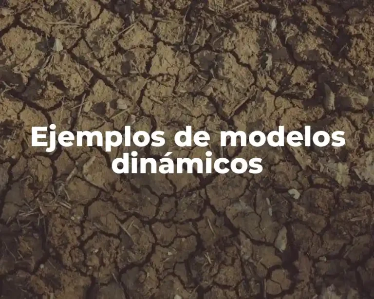 Ejemplos de modelos dinámicos
