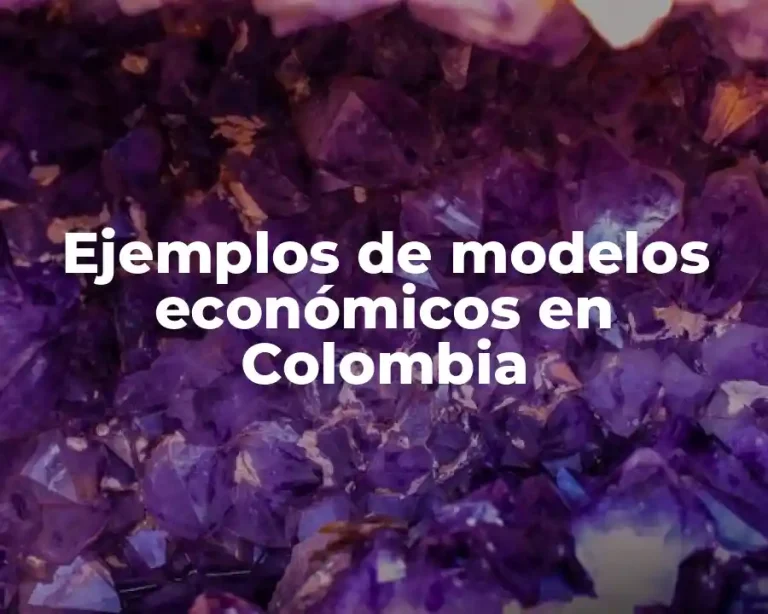 Ejemplos de modelos económicos en Colombia