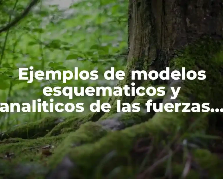 Ejemplos de modelos esquematicos y analiticos de las fuerzas vectoriales