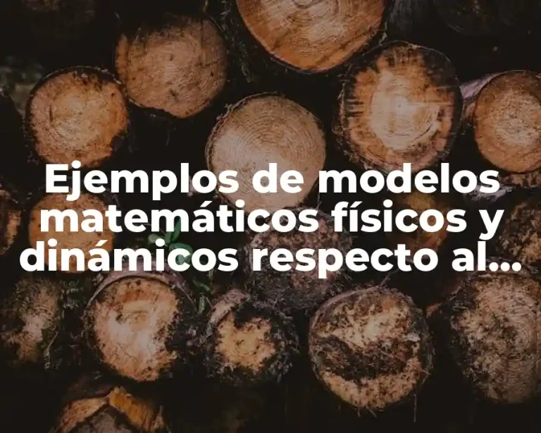 Ejemplos de modelos matemáticos físicos y dinámicos respecto al tiempo y Significado