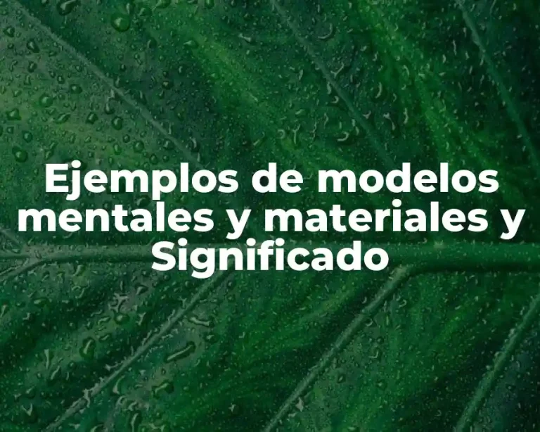 Ejemplos de modelos mentales y materiales y Significado