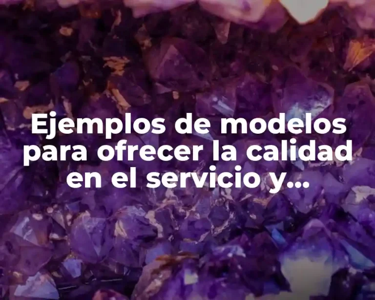 Ejemplos de modelos para ofrecer la calidad en el servicio y Significado