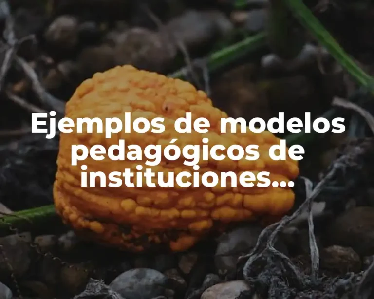 Ejemplos de modelos pedagógicos de instituciones educativas