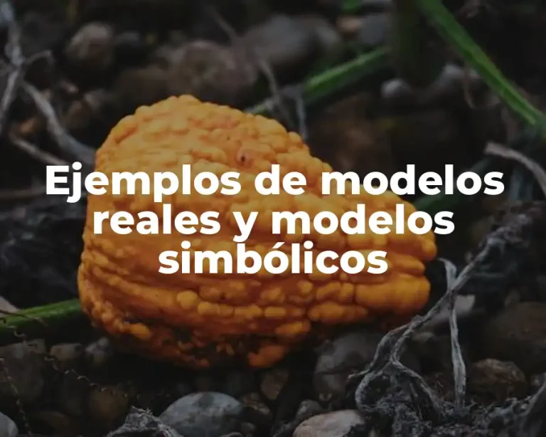 Ejemplos de modelos reales y modelos simbólicos