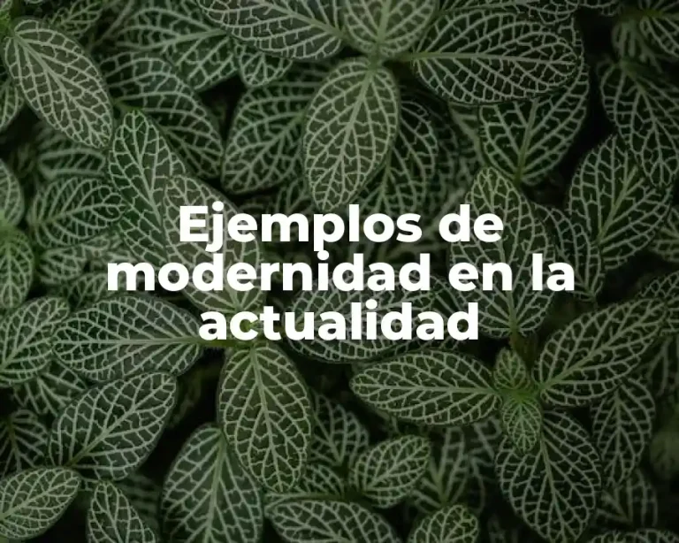 Ejemplos de modernidad en la actualidad