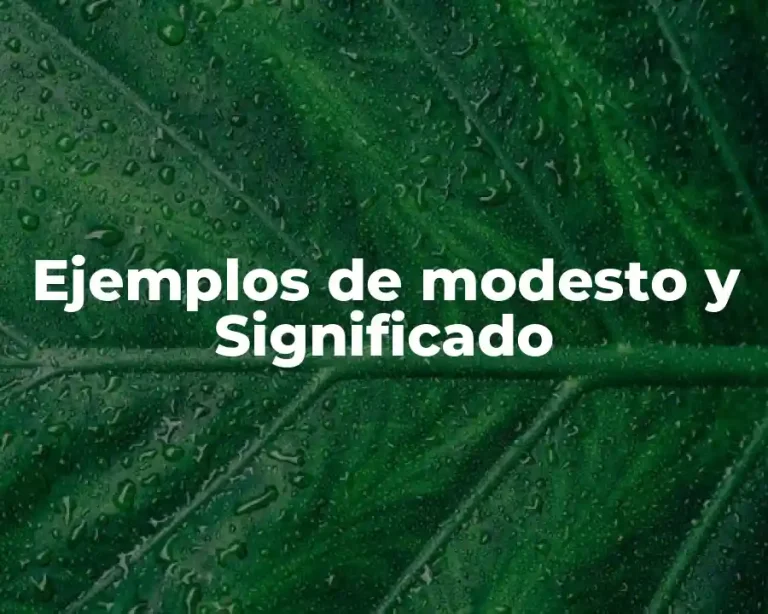 Ejemplos de modesto y Significado