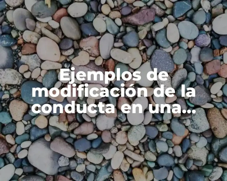 Ejemplos de modificación de la conducta en una empresa