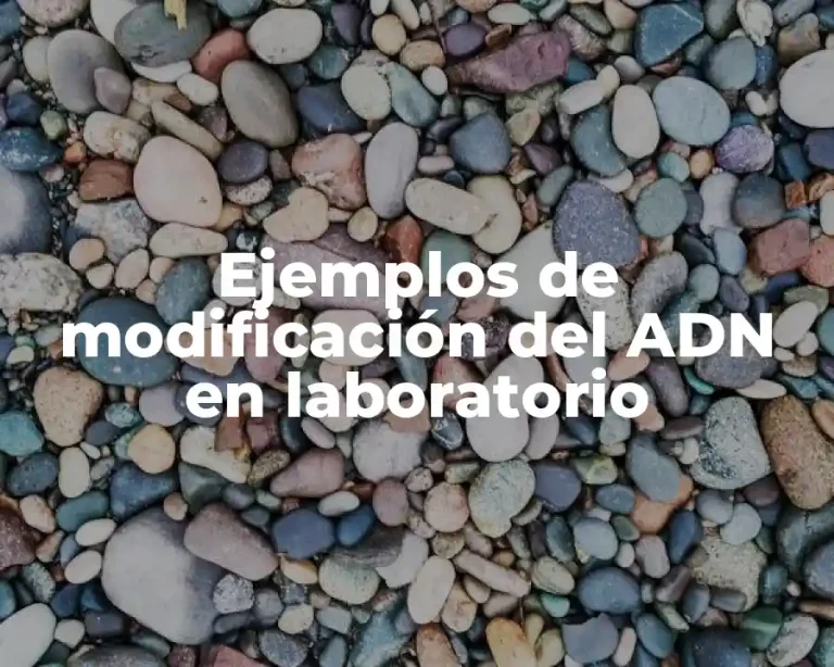 Ejemplos de modificación del ADN en laboratorio