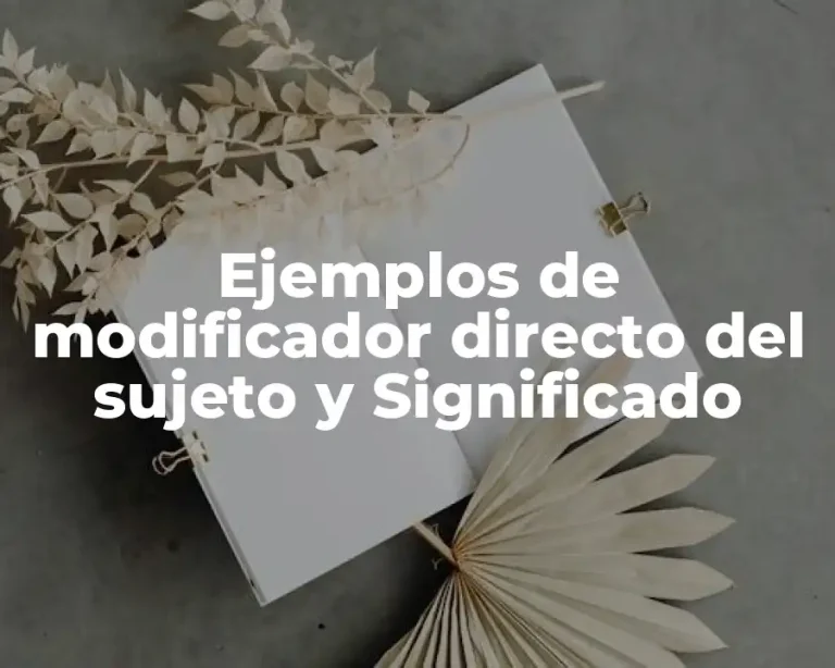 Ejemplos de modificador directo del sujeto y Significado