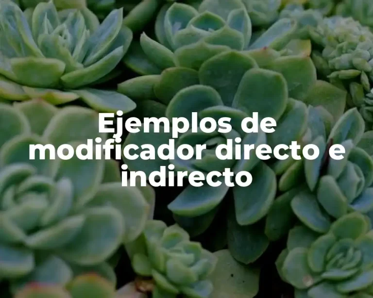Ejemplos de modificador directo e indirecto