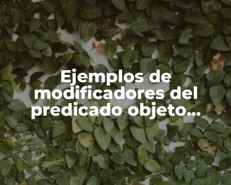 Ejemplos de modificadores del predicado objeto directo