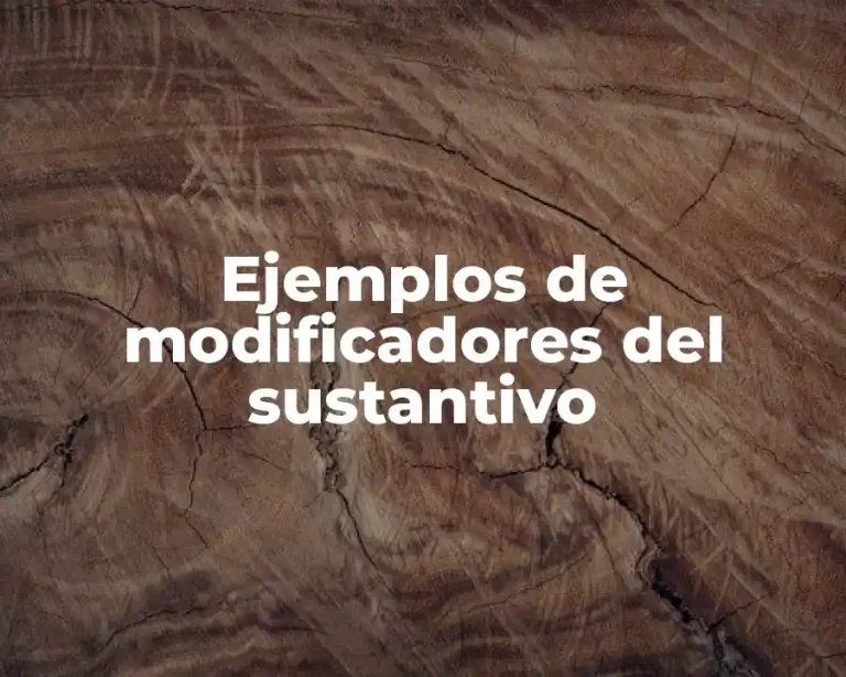 Ejemplos de modificadores del sustantivo