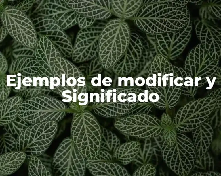 Ejemplos de modificar y Significado