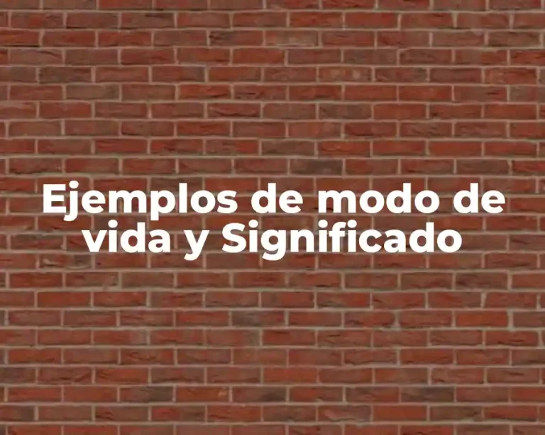 Ejemplos de modo de vida y Significado