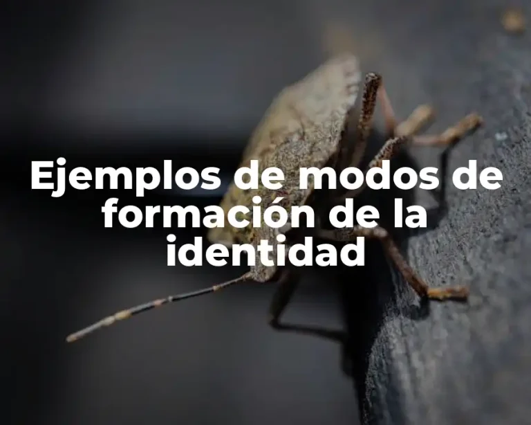 Ejemplos de modos de formación de la identidad