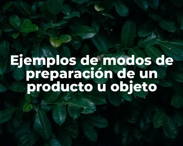 Ejemplos de modos de preparación de un producto u objeto