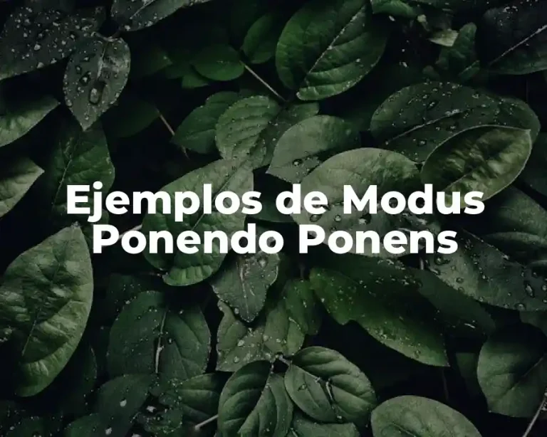 Ejemplos de Modus Ponendo Ponens