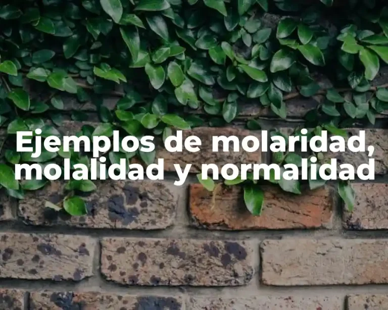 Ejemplos de molaridad, molalidad y normalidad