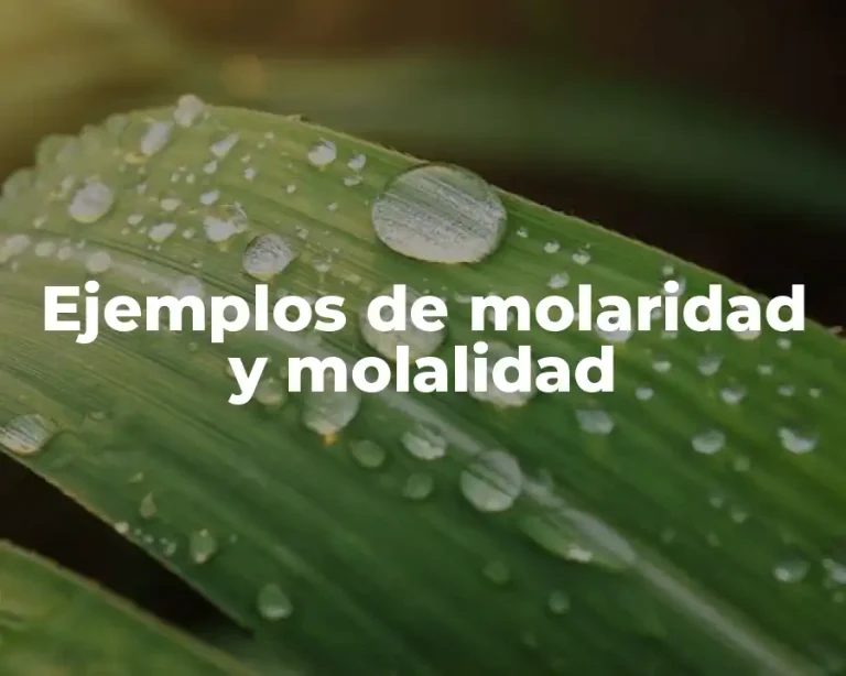 Ejemplos de molaridad y molalidad