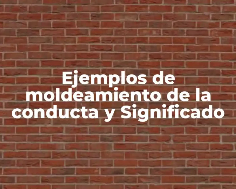 Ejemplos de moldeamiento de la conducta y Significado