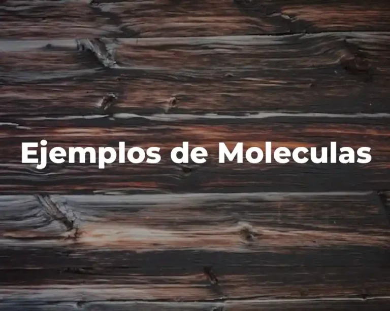 Ejemplos de Moleculas