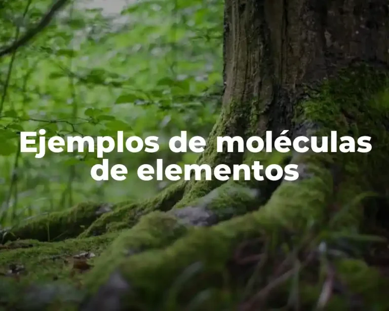 Ejemplos de moléculas de elementos