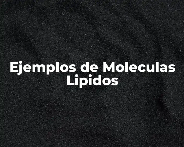 Ejemplos de Moleculas Lipidos