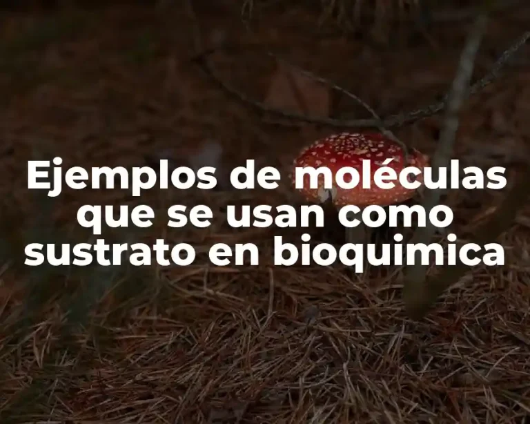 Ejemplos de moléculas que se usan como sustrato en bioquimica