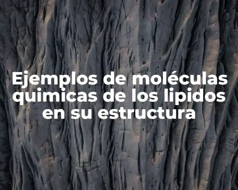 Ejemplos de moléculas quimicas de los lipidos en su estructura
