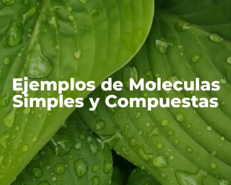 Ejemplos de Moleculas Simples y Compuestas