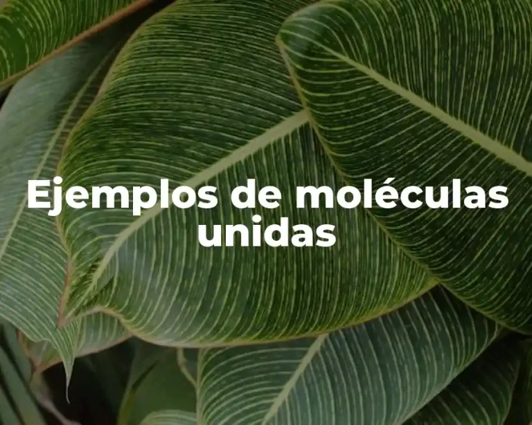 Ejemplos de moléculas unidas