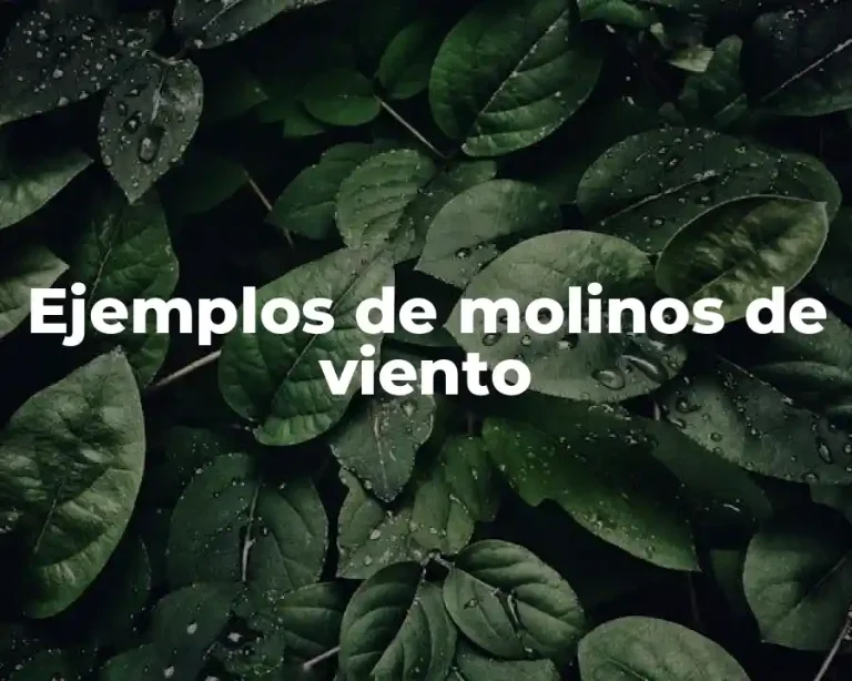 Ejemplos de molinos de viento