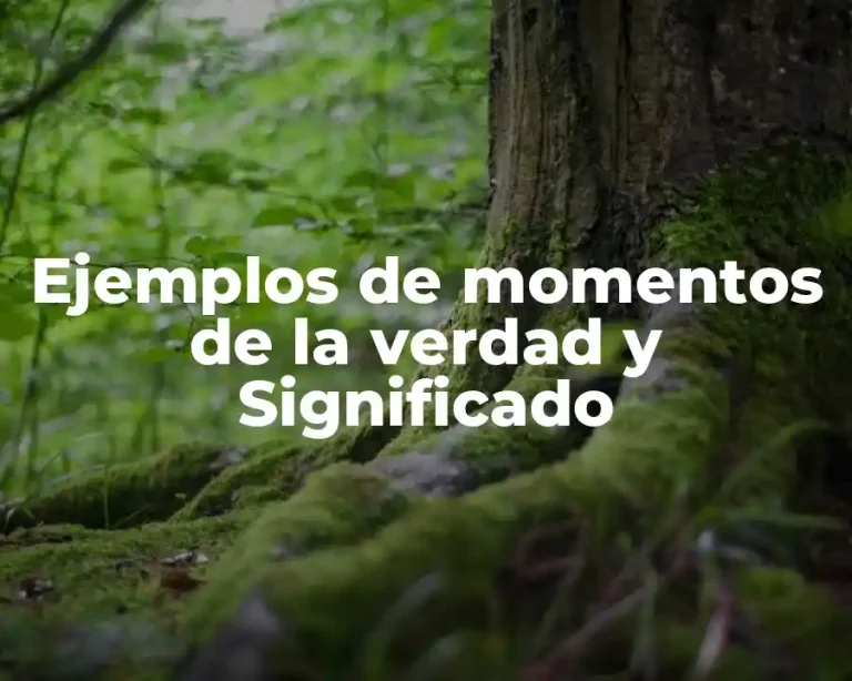 Ejemplos de momentos de la verdad y Significado