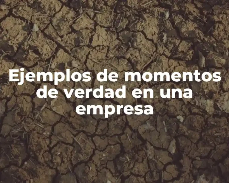Ejemplos de momentos de verdad en una empresa