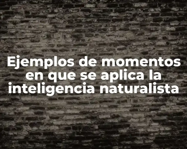 Ejemplos de momentos en que se aplica la inteligencia naturalista