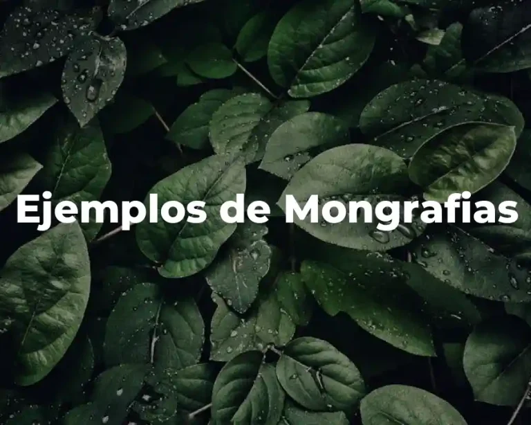 Ejemplos de Mongrafias