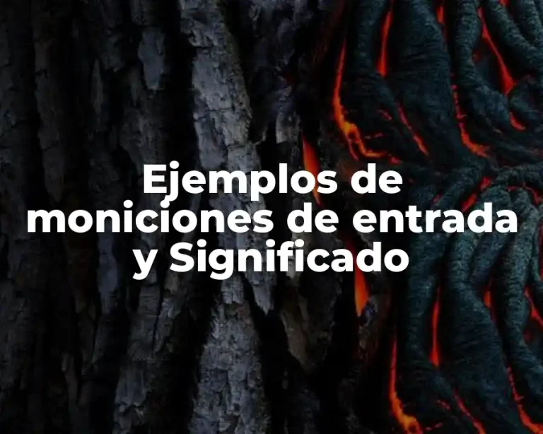 Ejemplos de moniciones de entrada y Significado