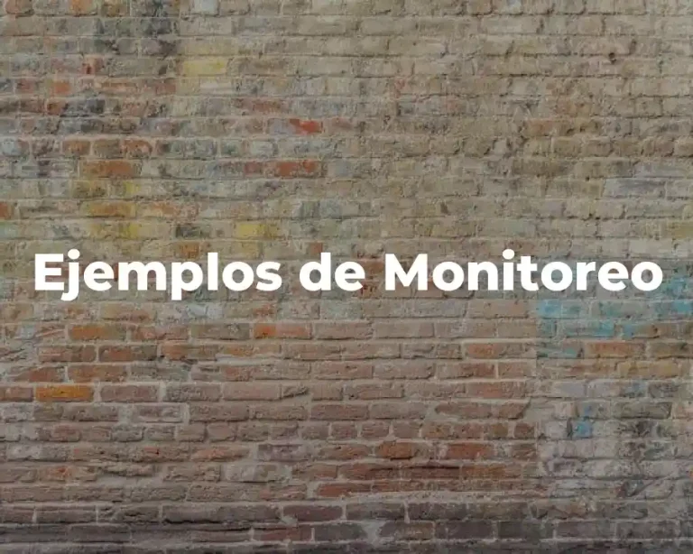 Ejemplos de Monitoreo