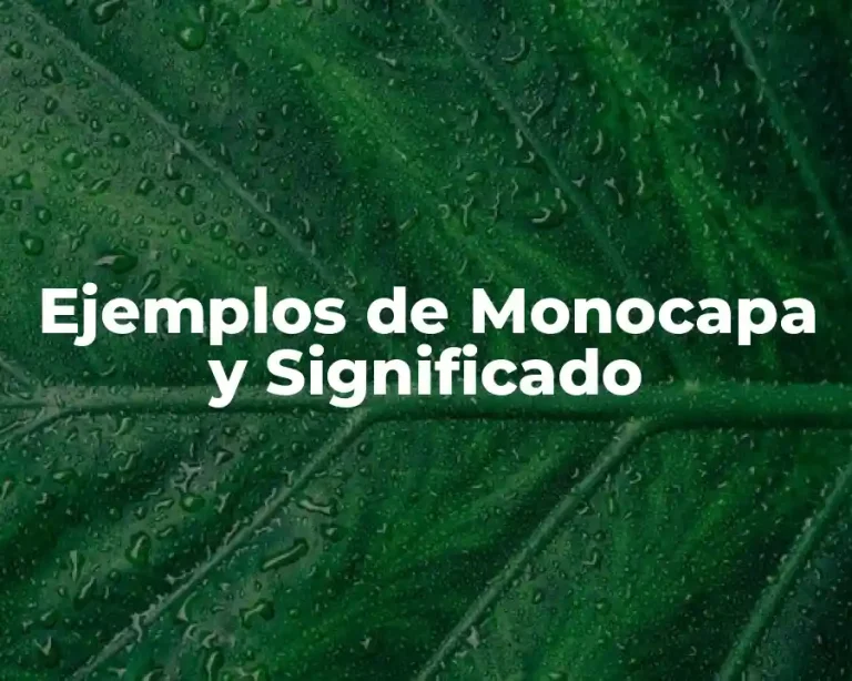 Ejemplos de Monocapa y Significado