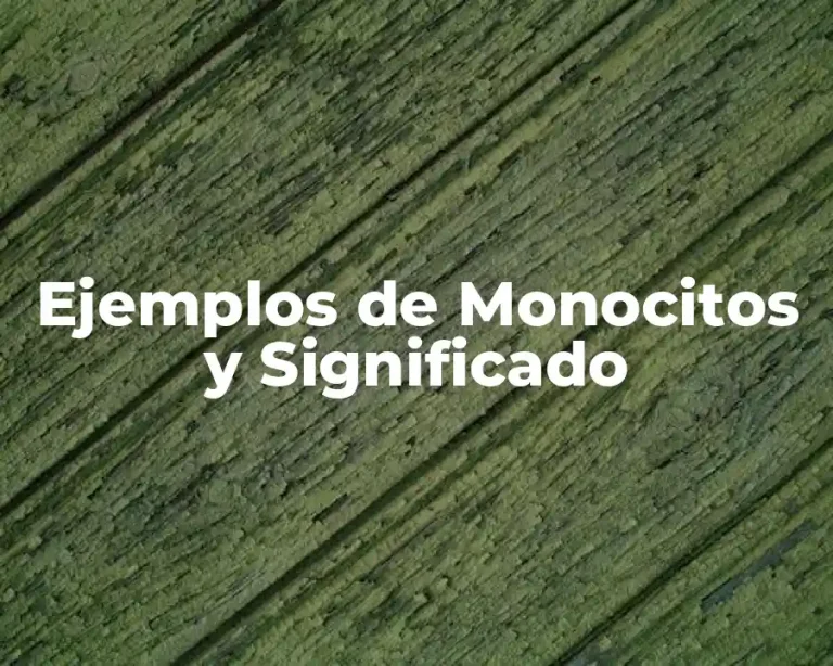 Ejemplos de Monocitos y Significado