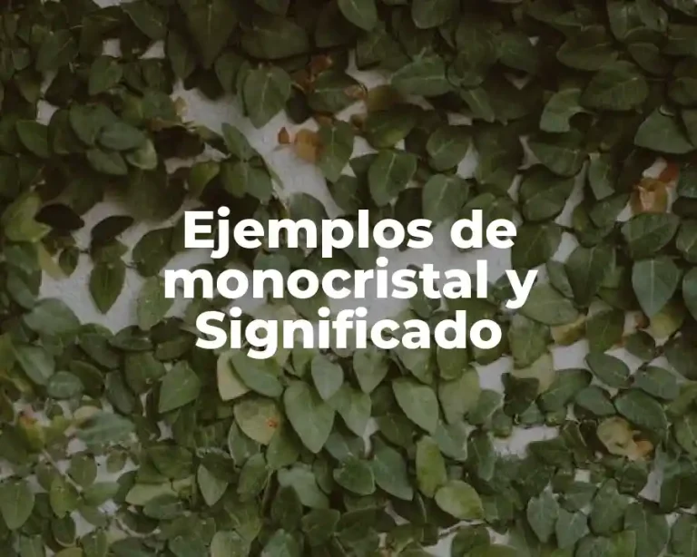 Ejemplos de monocristal y Significado