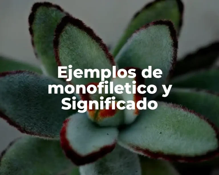 Ejemplos de monofiletico y Significado