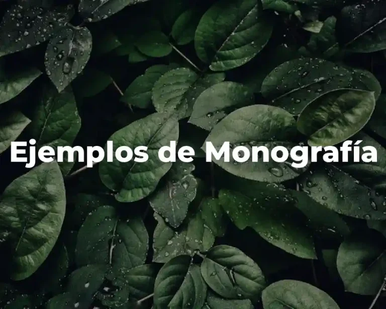 Ejemplos de Monografía