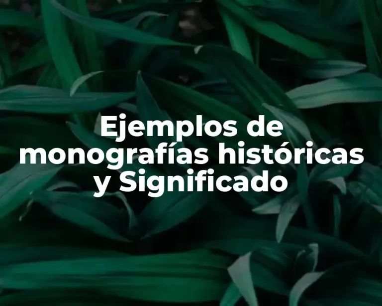 Ejemplos de monografías históricas y Significado