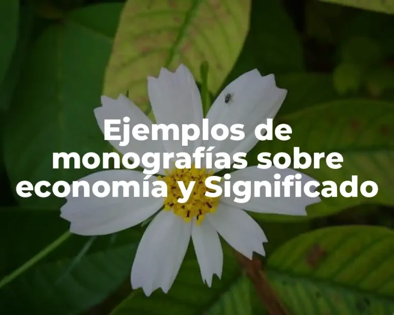 Ejemplos de monografías sobre economía y Significado