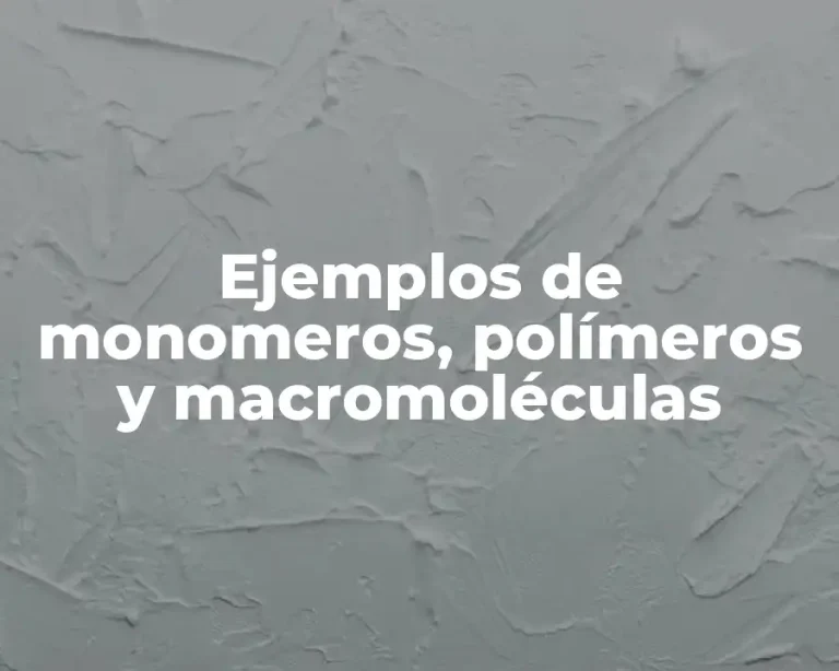 Ejemplos de monomeros, polímeros y macromoléculas