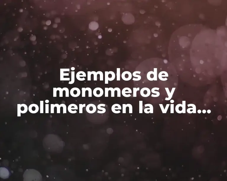 Ejemplos de monomeros y polimeros en la vida cotidiana y Significado