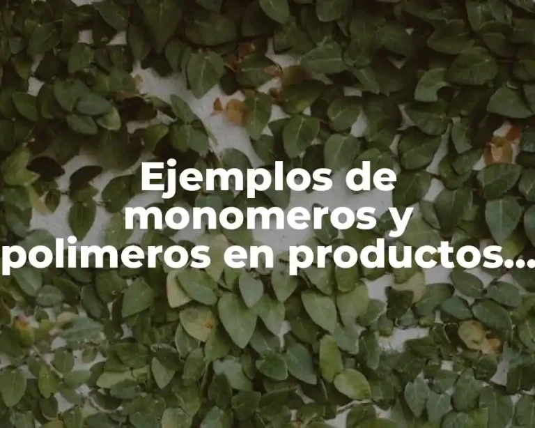 Ejemplos de monomeros y polimeros en productos de uso cotidiano