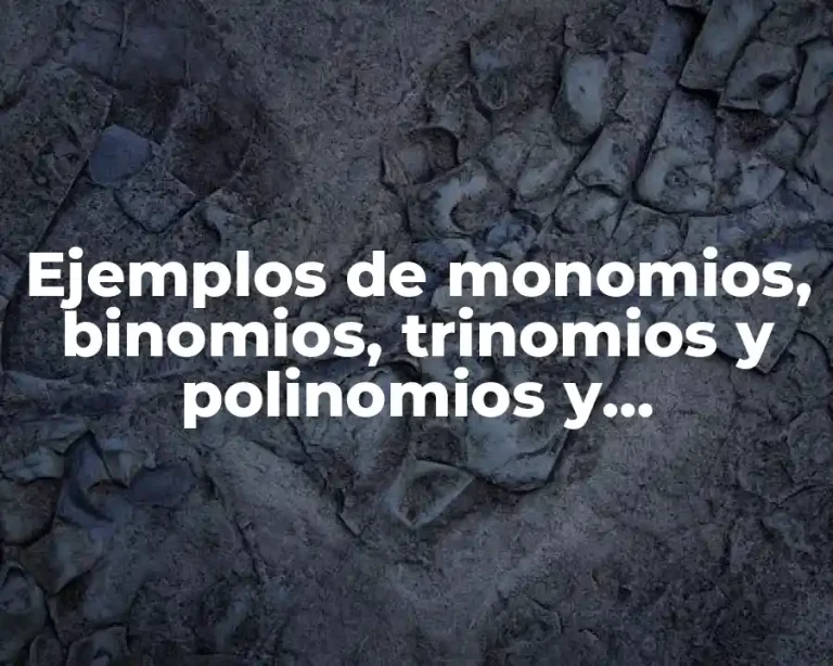 Ejemplos de monomios, binomios, trinomios y polinomios y Significado