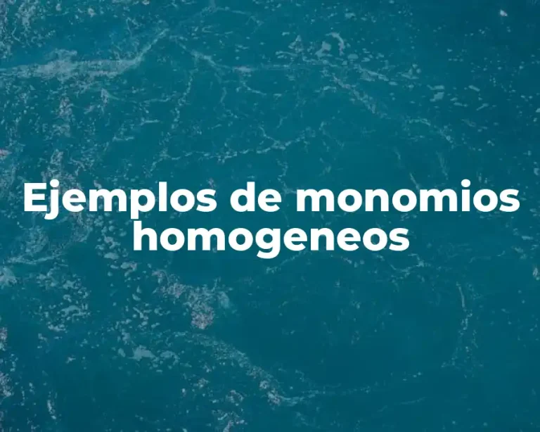 Ejemplos de monomios homogeneos